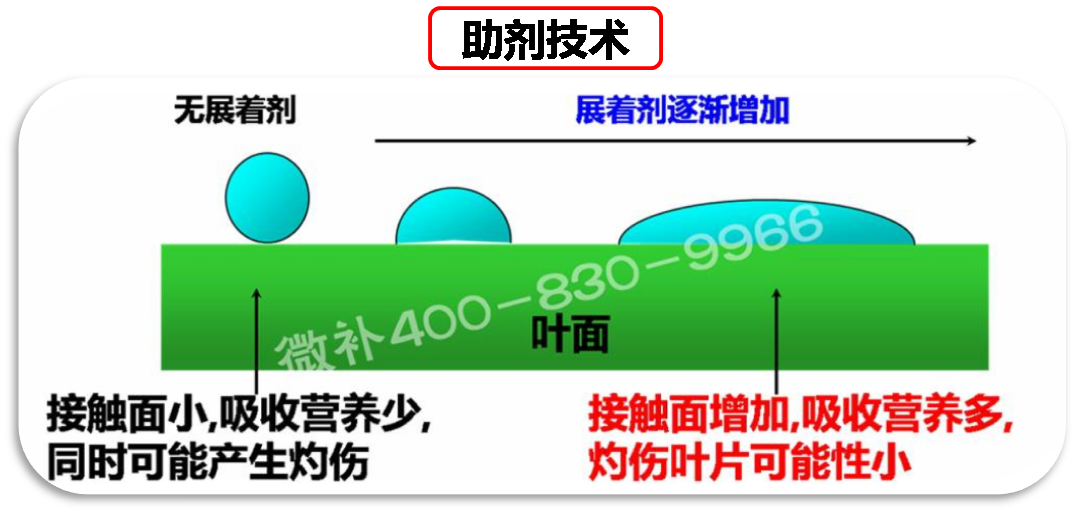 余教授德國鄉村行：我在德國為什么不會點啤酒了？