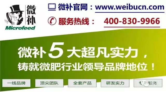 余教授奧地利鄉村行：萬科為什么說把奧地利小鎮搬回來？